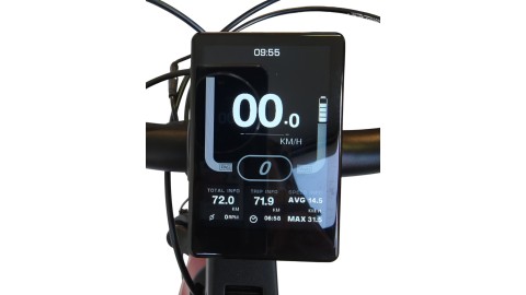 E-Bike Verona | VanDijck Juno | Kreutzer | M