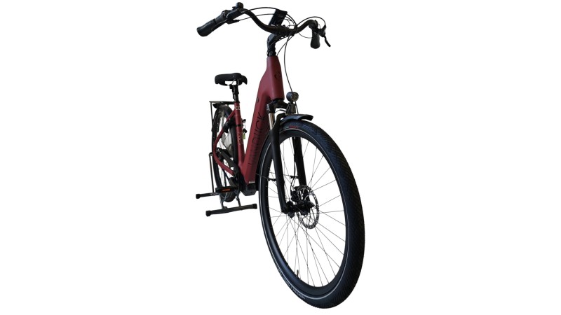 E-Bike Verona | VanDijck Juno | Kreutzer | M
