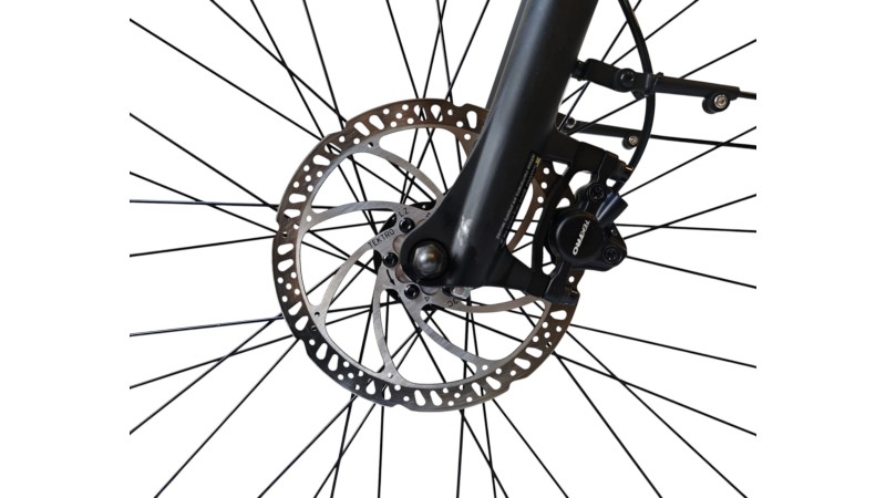 E-Bike Verona | VanDijck Juno | Kreutzer | M