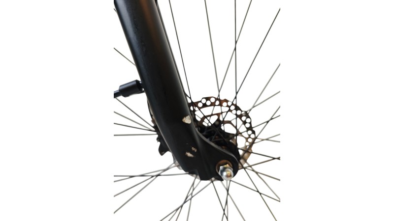 E-Bike Verona |QWIC Mira Daily Lowstep | BAFANG| M
