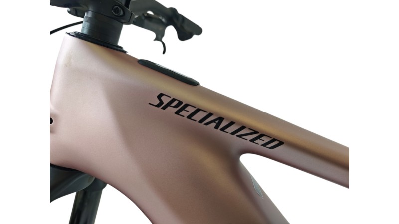 E-Bike Verona | Specialized Levo Comp Carbon|Specialized 3.1|L