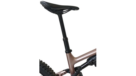 E-Bike Verona | Specialized Levo Comp Carbon|Specialized 3.1|L