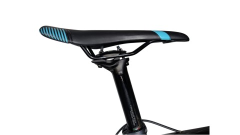 Rennrad München | Bianchi Infinito CV| Ultegra | 53
