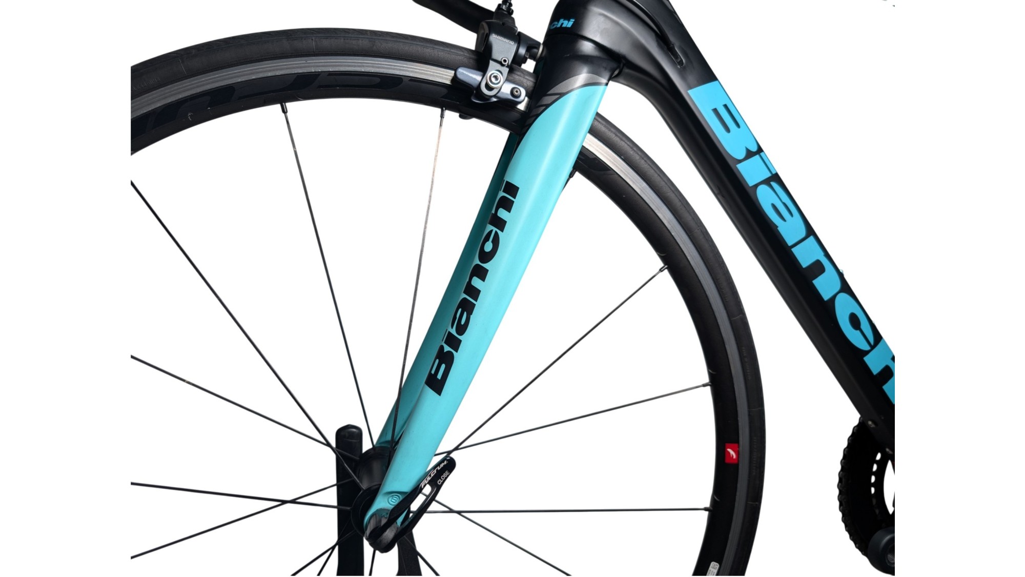 Rennrad München | Bianchi Infinito CV| Ultegra | 53