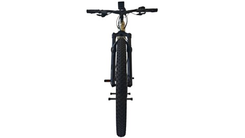 E-Bike Verona |Trek Powerfly 7 Gen 4| BOSCH| M