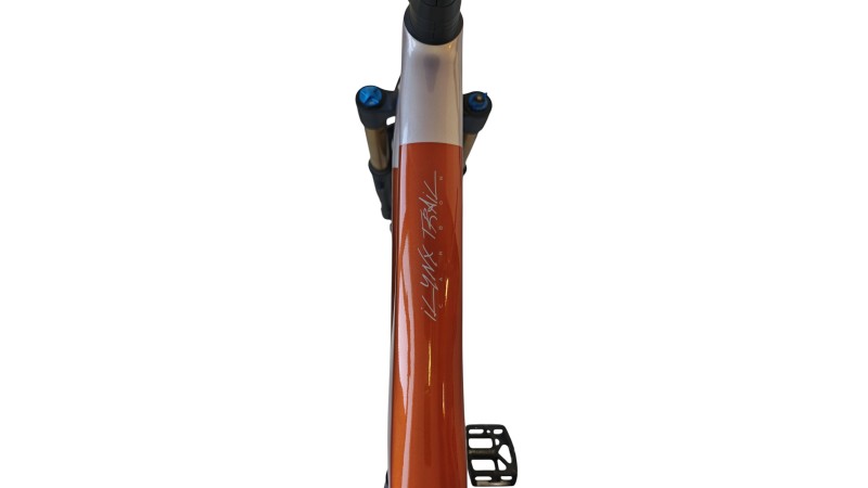 E-Bike Verona | BH iLynx Trail Carbon 8.8| BH | L