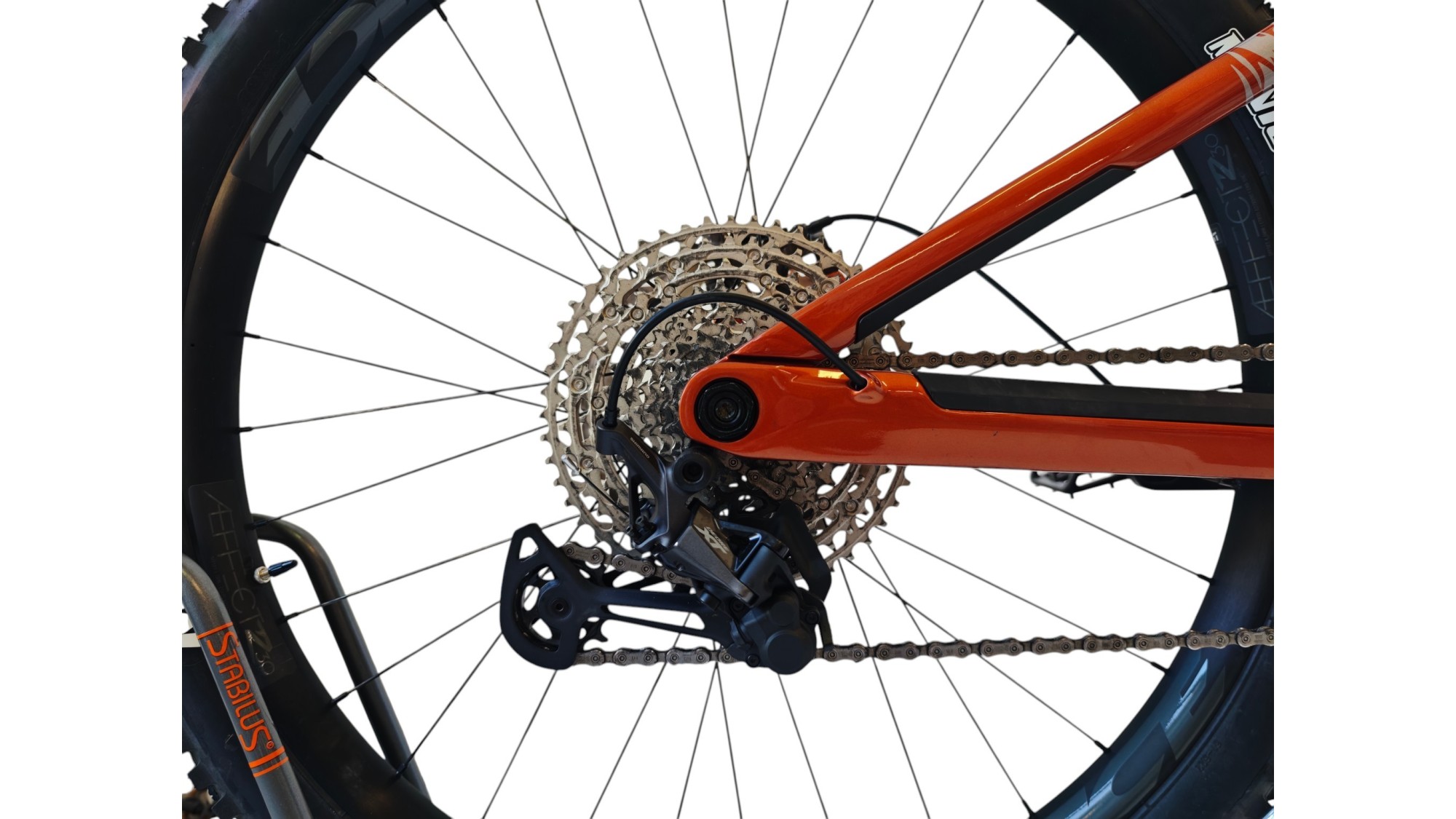 E-Bike Verona | BH iLynx Trail Carbon 8.8| BH | L