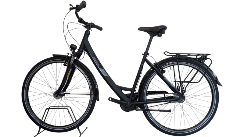 Citybike München |Pegasus Solero SL| Shimano Nexus | M