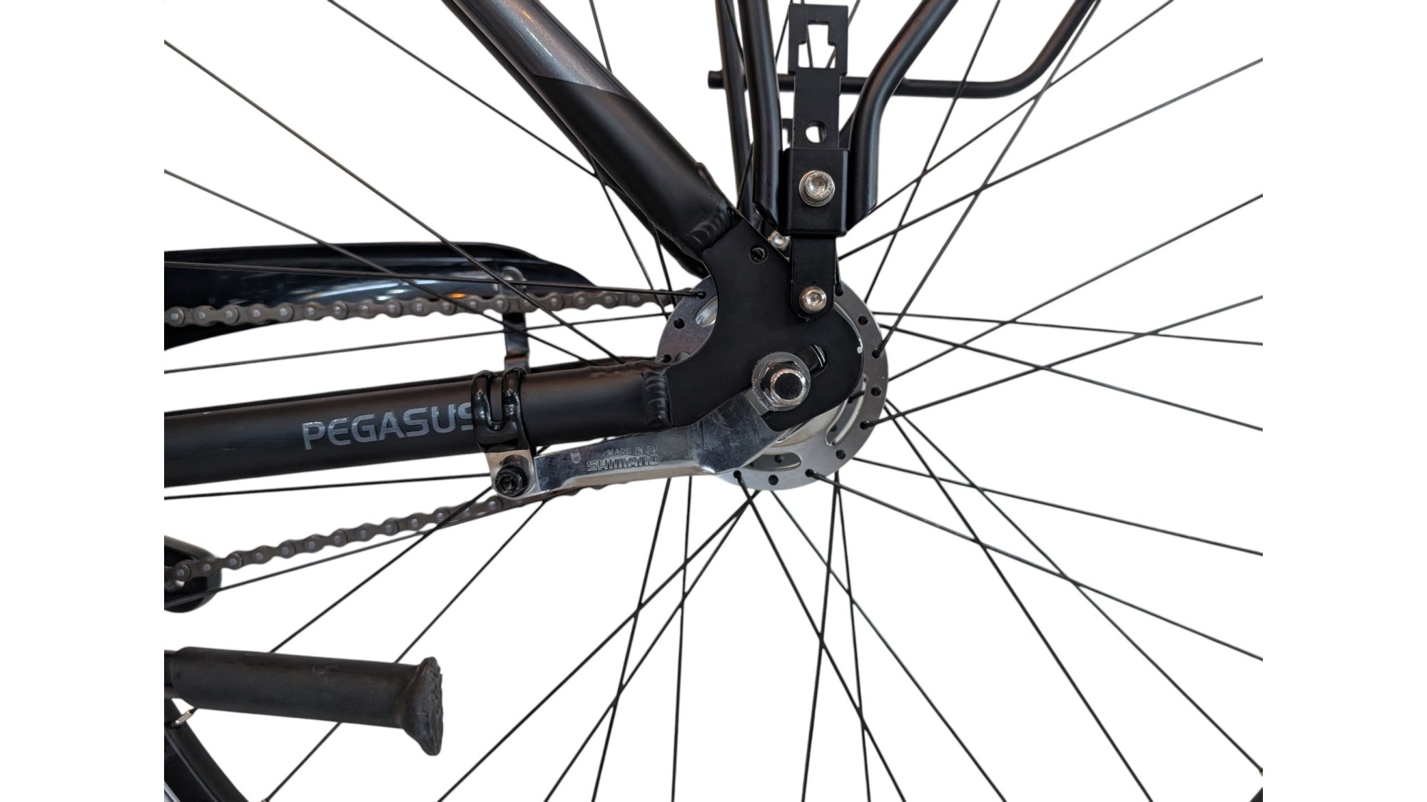 Citybike München |Pegasus Solero SL| Shimano Nexus | M