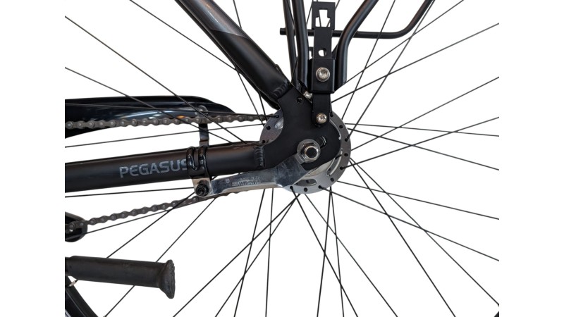 Citybike München |Pegasus Solero SL| Shimano Nexus | M