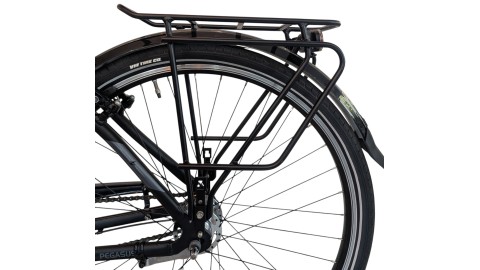 Citybike München |Pegasus Solero SL| Shimano Nexus | M
