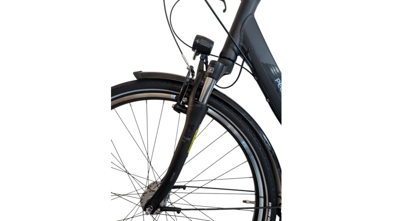 Citybike München |Pegasus Solero SL| Shimano Nexus | M