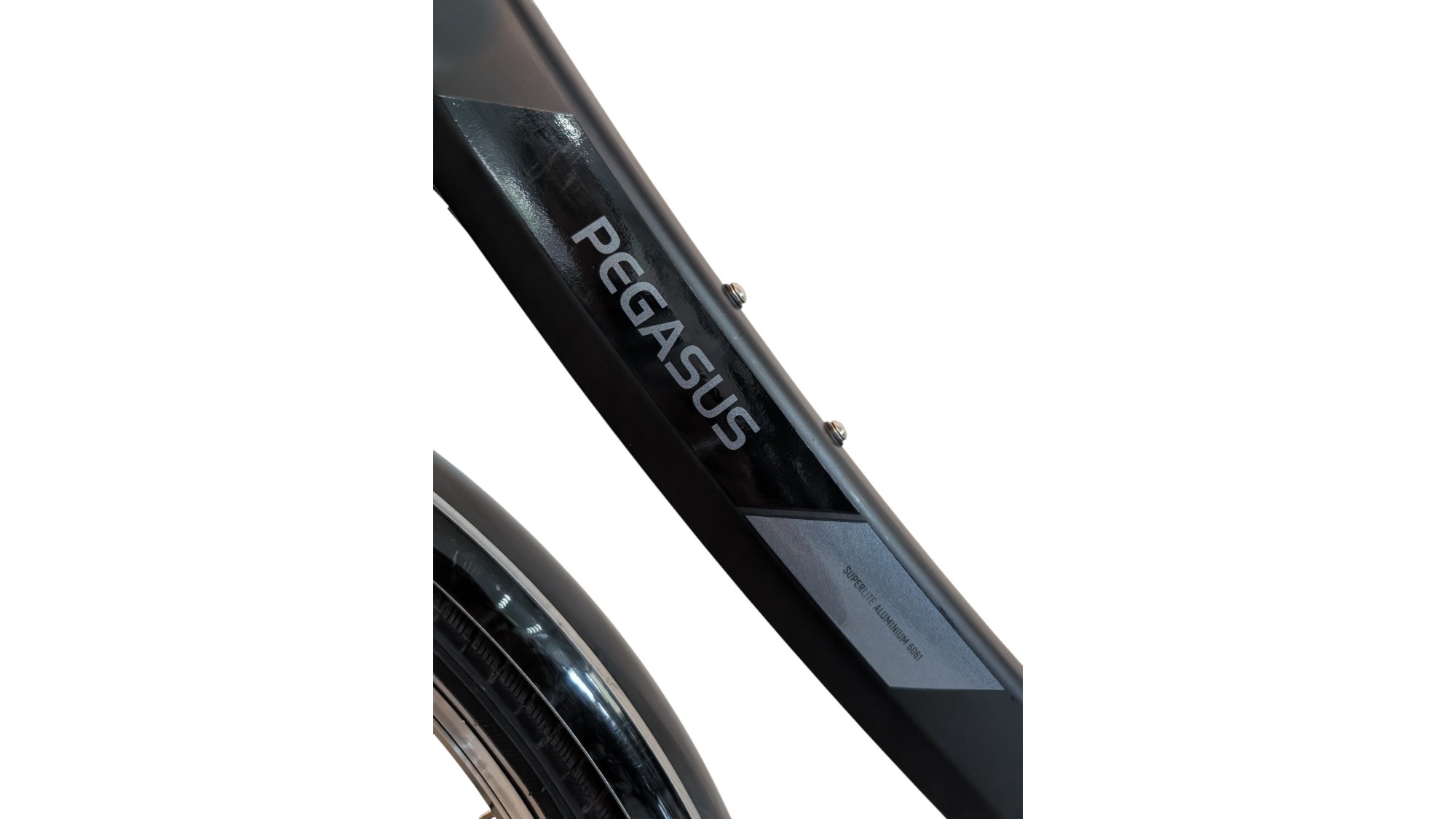Citybike München |Pegasus Solero SL| Shimano Nexus | M