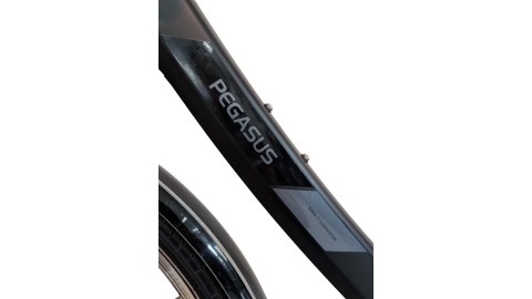 Citybike München |Pegasus Solero SL| Shimano Nexus | M