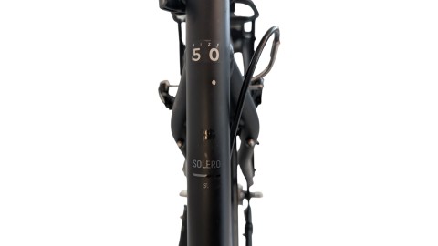Citybike München |Pegasus Solero SL| Shimano Nexus | M