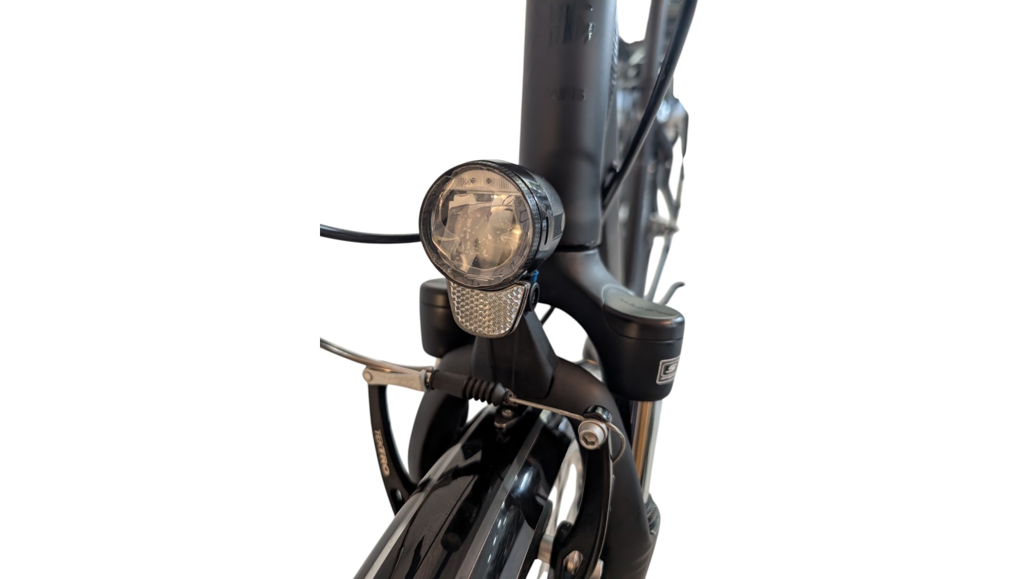 Citybike München |Pegasus Solero SL| Shimano Nexus | M