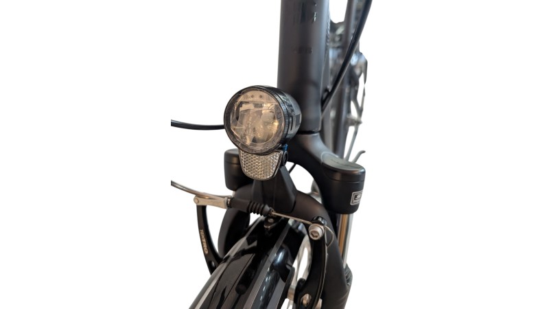 Citybike München |Pegasus Solero SL| Shimano Nexus | M