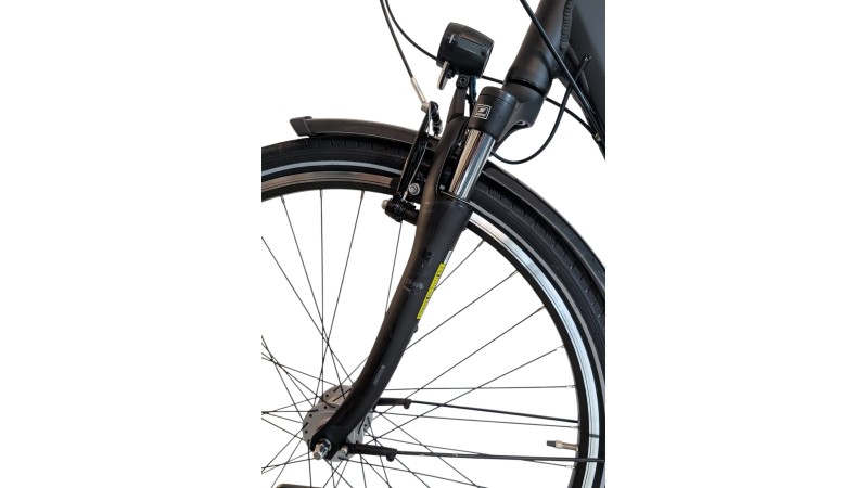 Citybike München |Pegasus Solero SL| Shimano Nexus | M