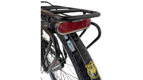 Citybike München |Pegasus Solero SL| Shimano Nexus | M