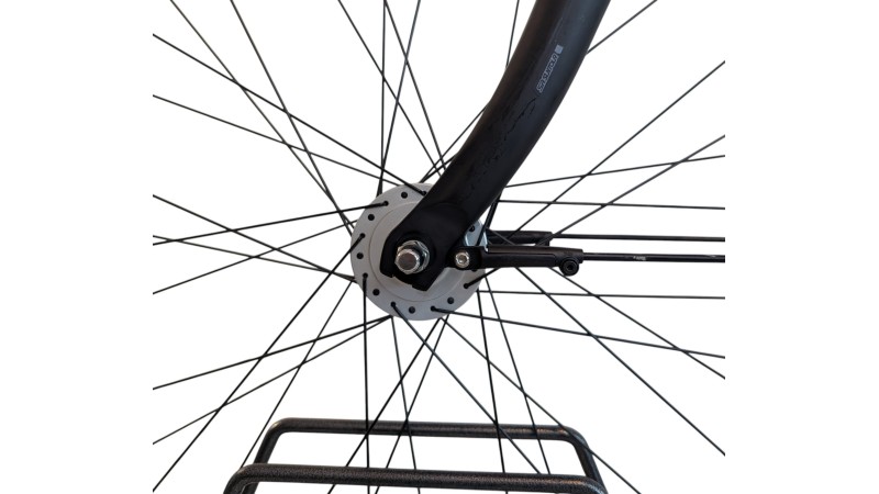 Citybike München |Pegasus Solero SL| Shimano Nexus | M