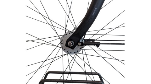Citybike München |Pegasus Solero SL| Shimano Nexus | M