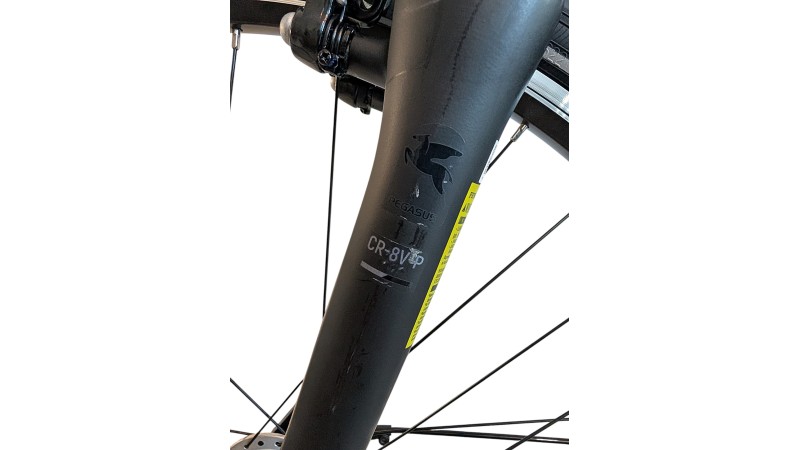 Citybike München |Pegasus Solero SL| Shimano Nexus | M