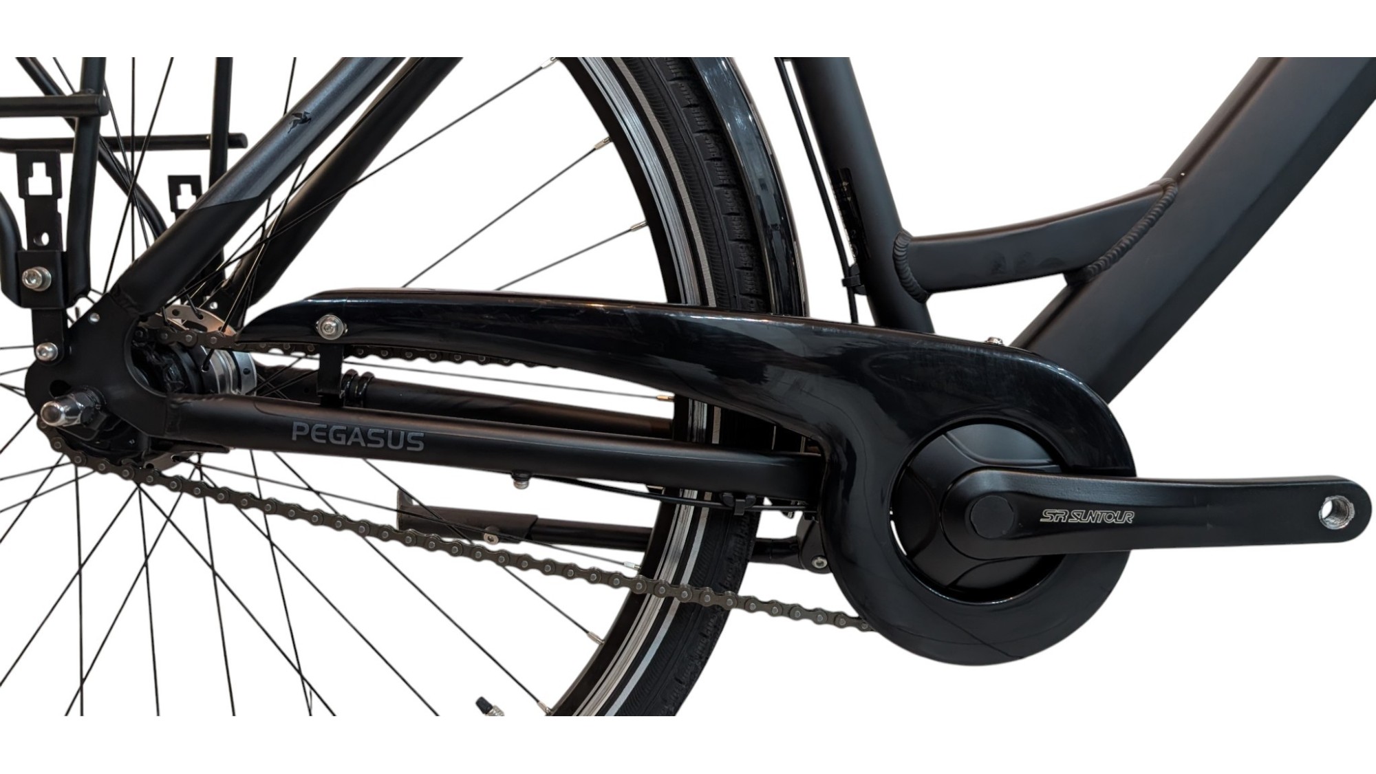 Citybike München |Pegasus Solero SL| Shimano Nexus | M