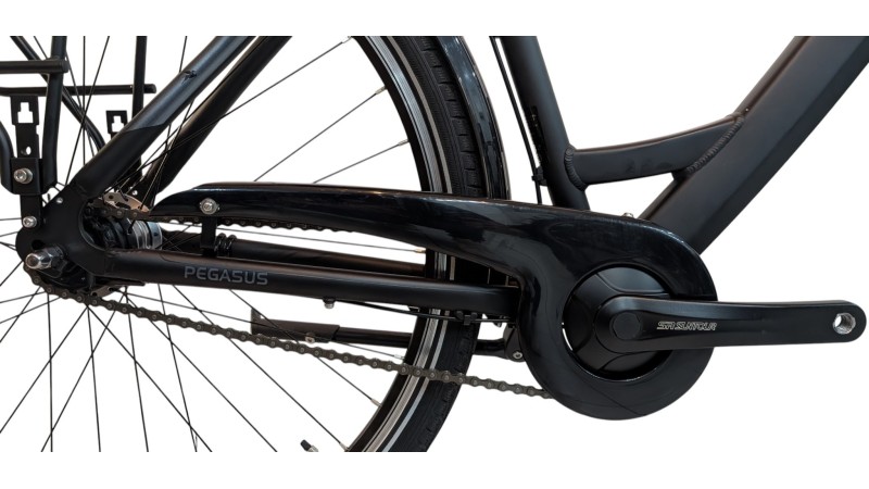 Citybike München |Pegasus Solero SL| Shimano Nexus | M