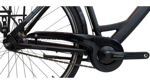 Citybike München |Pegasus Solero SL| Shimano Nexus | M