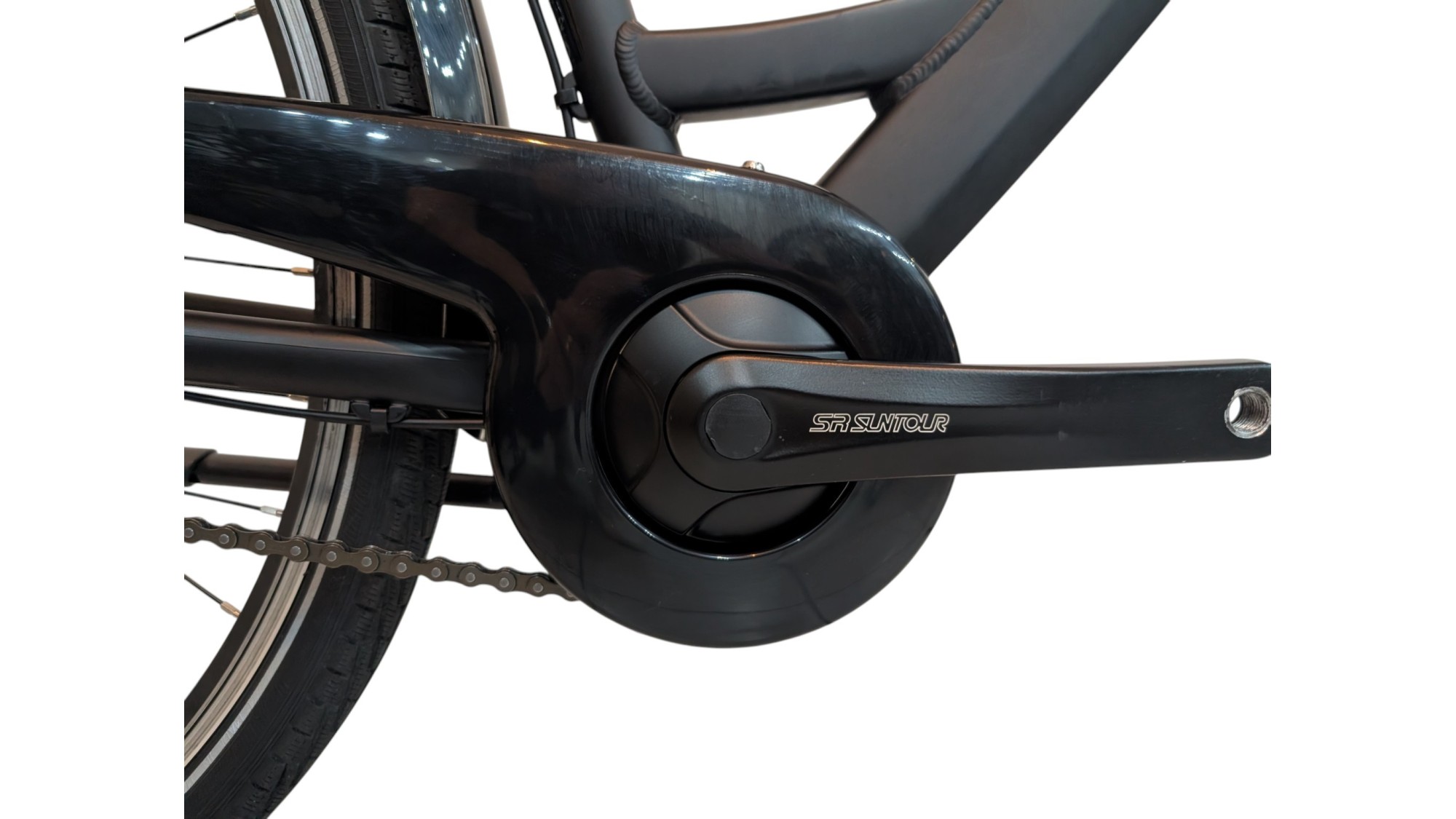 Citybike München |Pegasus Solero SL| Shimano Nexus | M