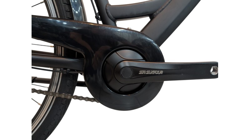 Citybike München |Pegasus Solero SL| Shimano Nexus | M