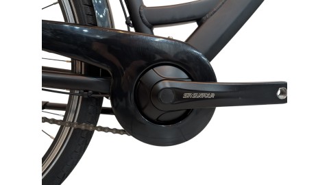 Citybike München |Pegasus Solero SL| Shimano Nexus | M