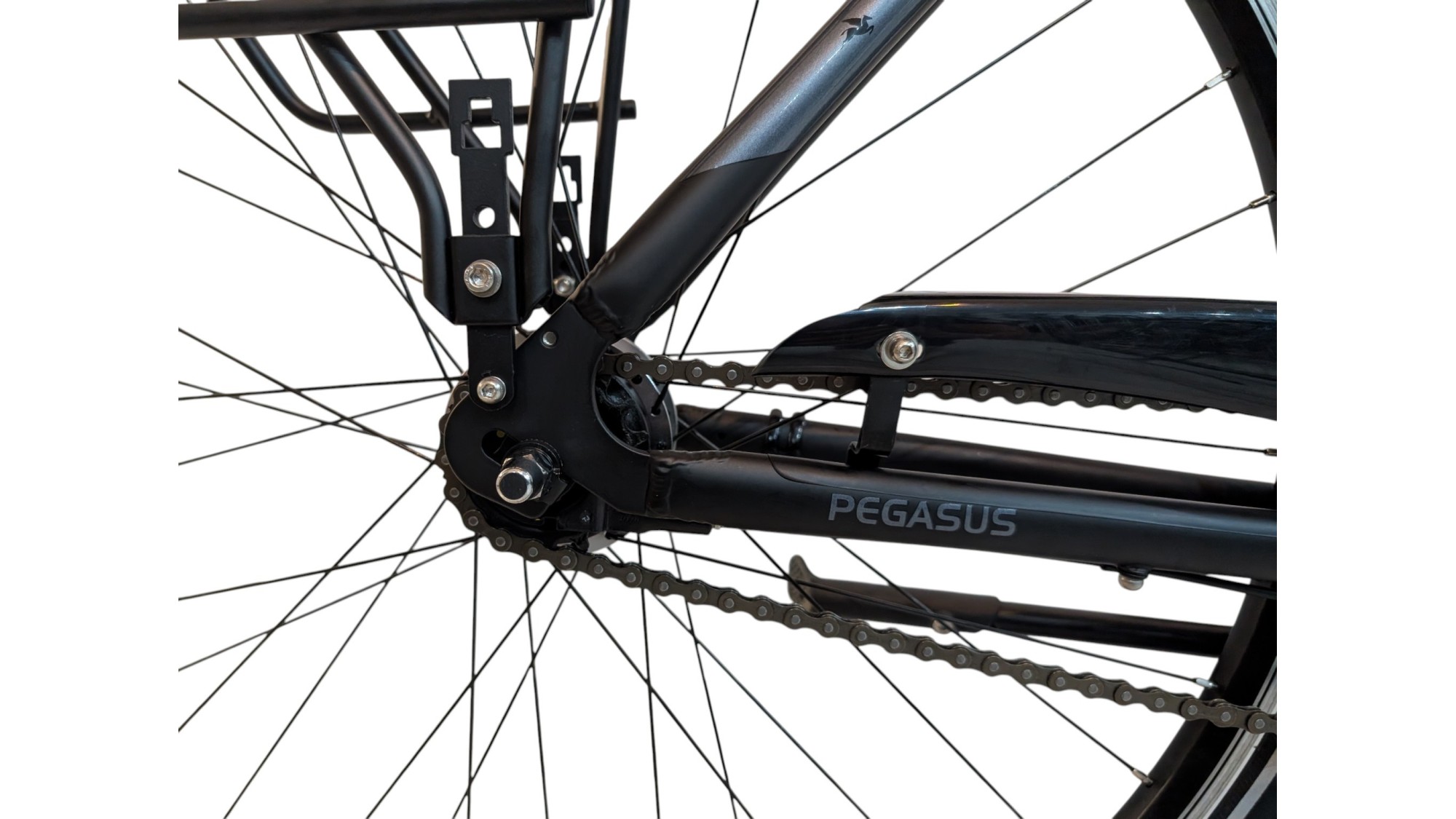 Citybike München |Pegasus Solero SL| Shimano Nexus | M