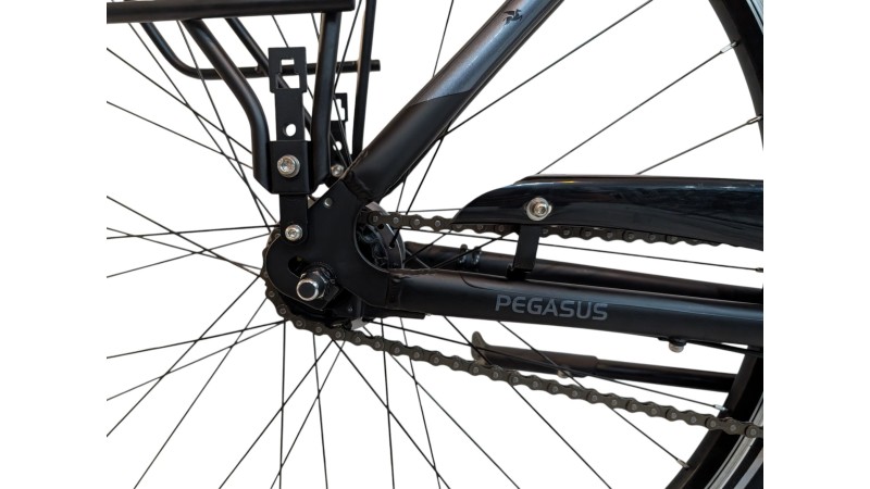 Citybike München |Pegasus Solero SL| Shimano Nexus | M
