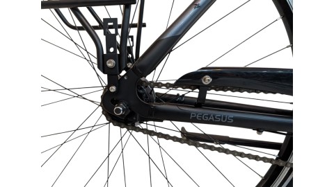 Citybike München |Pegasus Solero SL| Shimano Nexus | M