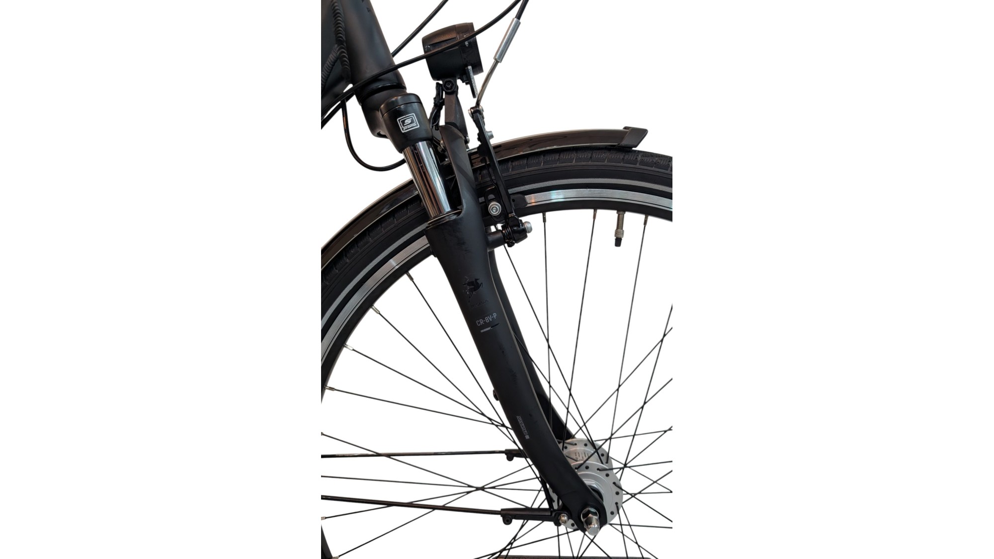Citybike München |Pegasus Solero SL| Shimano Nexus | M