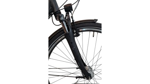 Citybike München |Pegasus Solero SL| Shimano Nexus | M