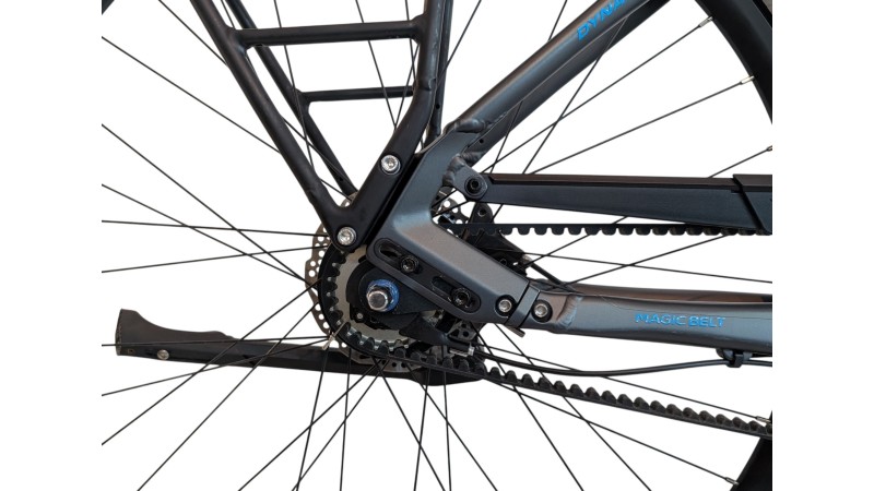 Trekkingrad München |Dynamics Magic Belt| Shimano Nexus | 45