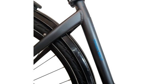 Trekkingrad München |Dynamics Magic Belt| Shimano Nexus | 45