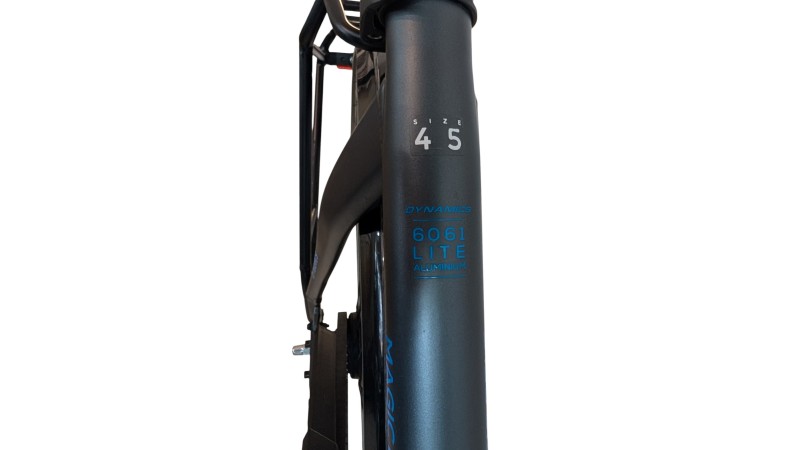 Trekkingrad München |Dynamics Magic Belt| Shimano Nexus | 45
