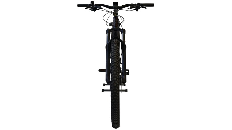 E-Bike Verona |Specialized Tero X 5.0| Specialized| M