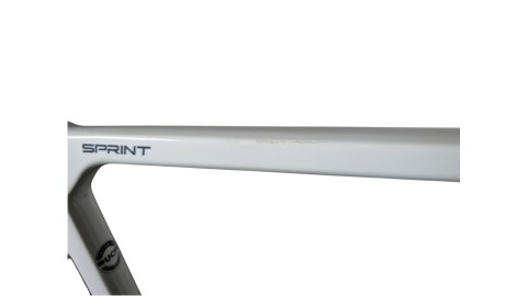 Rennrad München | Bianchi Sprint | 105 Di2 | 61