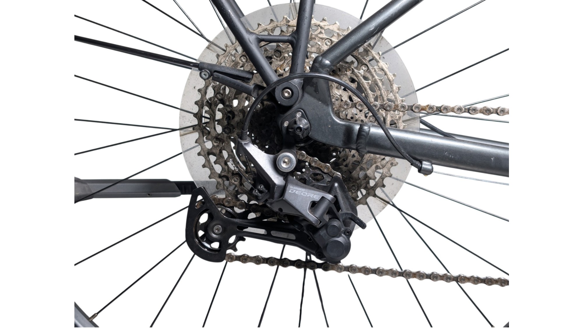 Trekkingrad München | Diamant Elan Super Deluxe| Shimano Deore | S