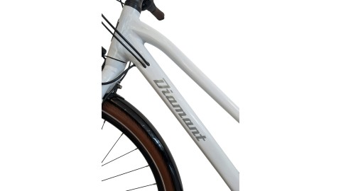 Citybike München | Diamant 885| Shimano Nexus | S