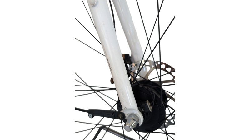 Citybike München | Diamant 885| Shimano Nexus | S