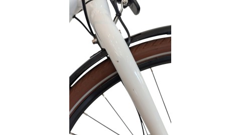 Citybike München | Diamant 885| Shimano Nexus | S