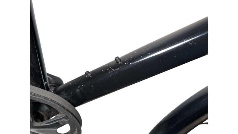 München Gebraucht | Diamant 247 | Shimano Nexus | 55