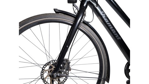München Gebraucht | Diamant 247 | Shimano Nexus | 55
