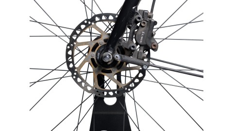 München Gebraucht | Diamant 247 | Shimano Nexus | 55