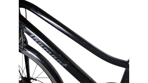 München Gebraucht | Diamant 247 | Shimano Nexus | 55